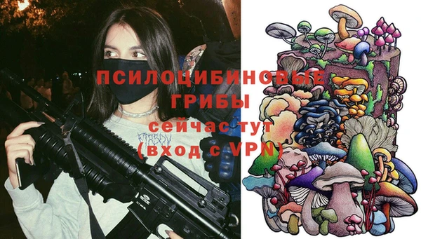 дживик Балабаново